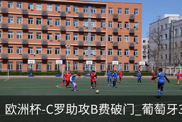 欧洲杯-C罗助攻B费破门 葡萄牙3-0土耳其